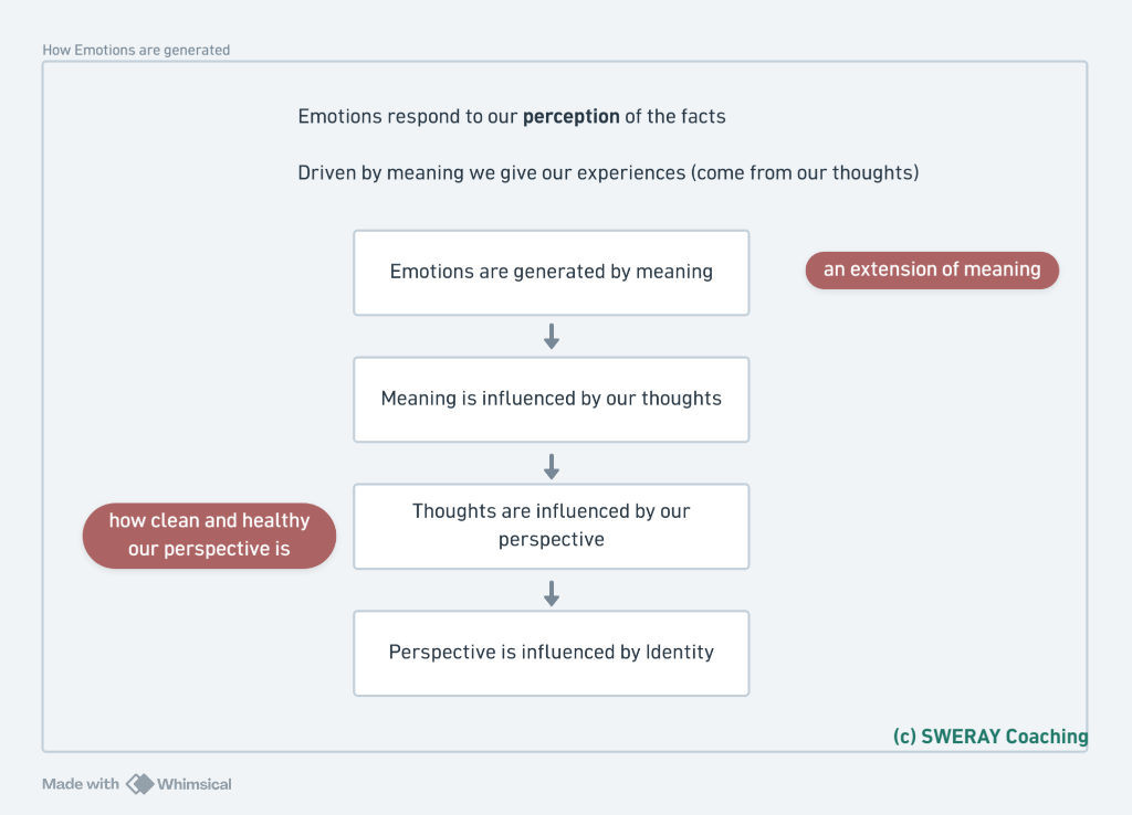 How Emotions Are Generated Architecture